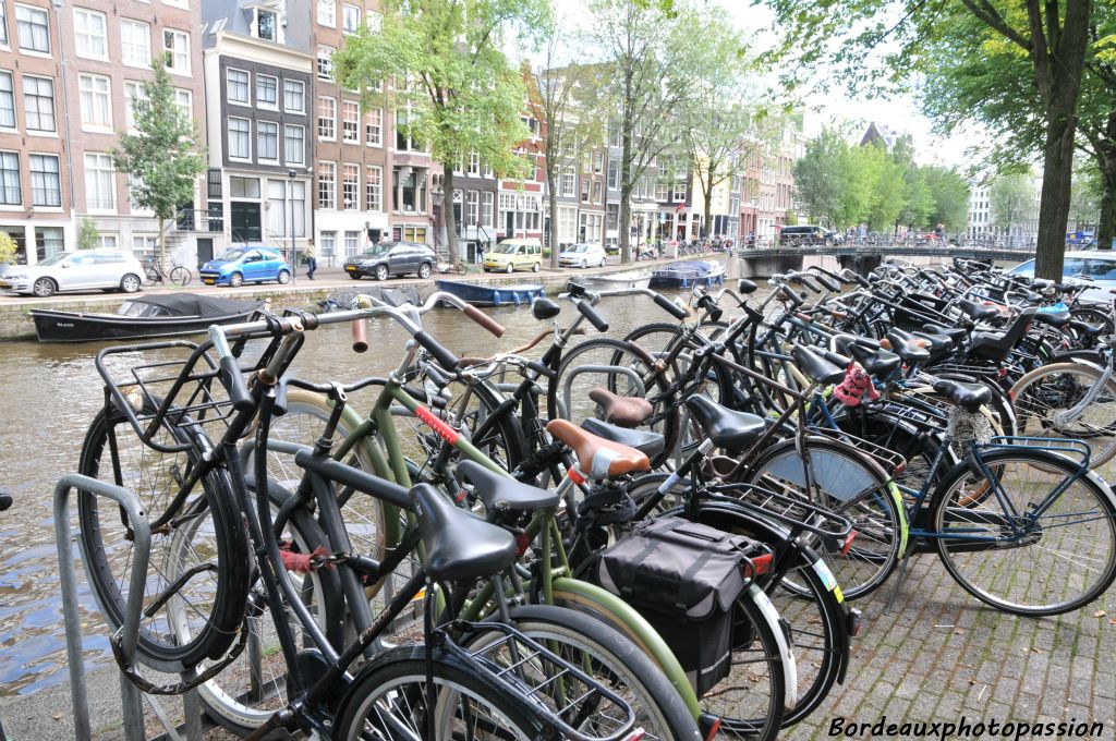 Que font les vélos à l'arrêt... ils regardent passer les bateaux !