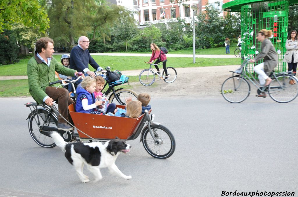 Le bakfiet (le vélo à baquet) sert souvent à transporter les enfants.