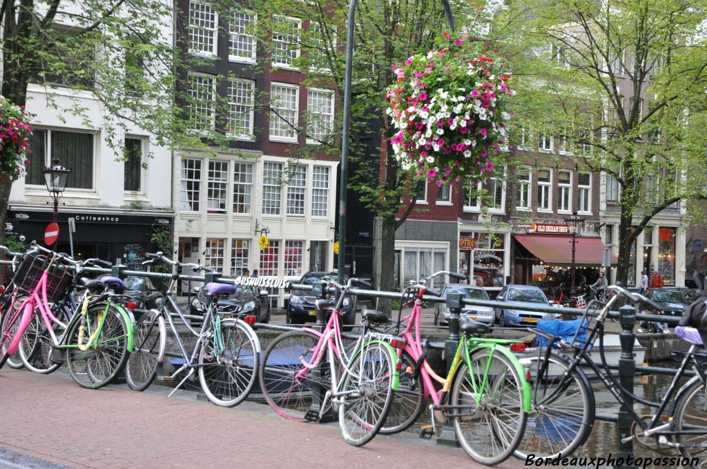 Des vélos colorés.