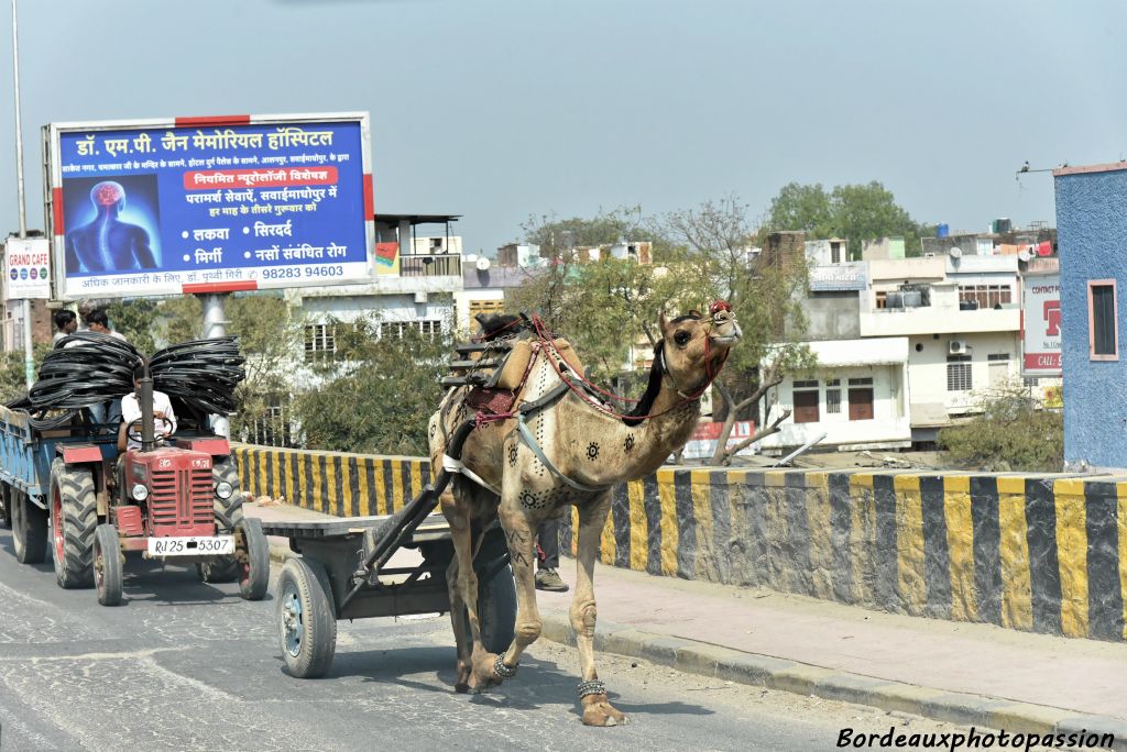 Sur la route, on peut croiser divers types de transport...