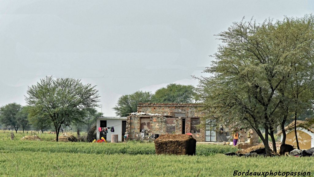 Tout au long de la route des "cabanes" marron comme ici au milieu des cultures. Mais qu'est-ce ?