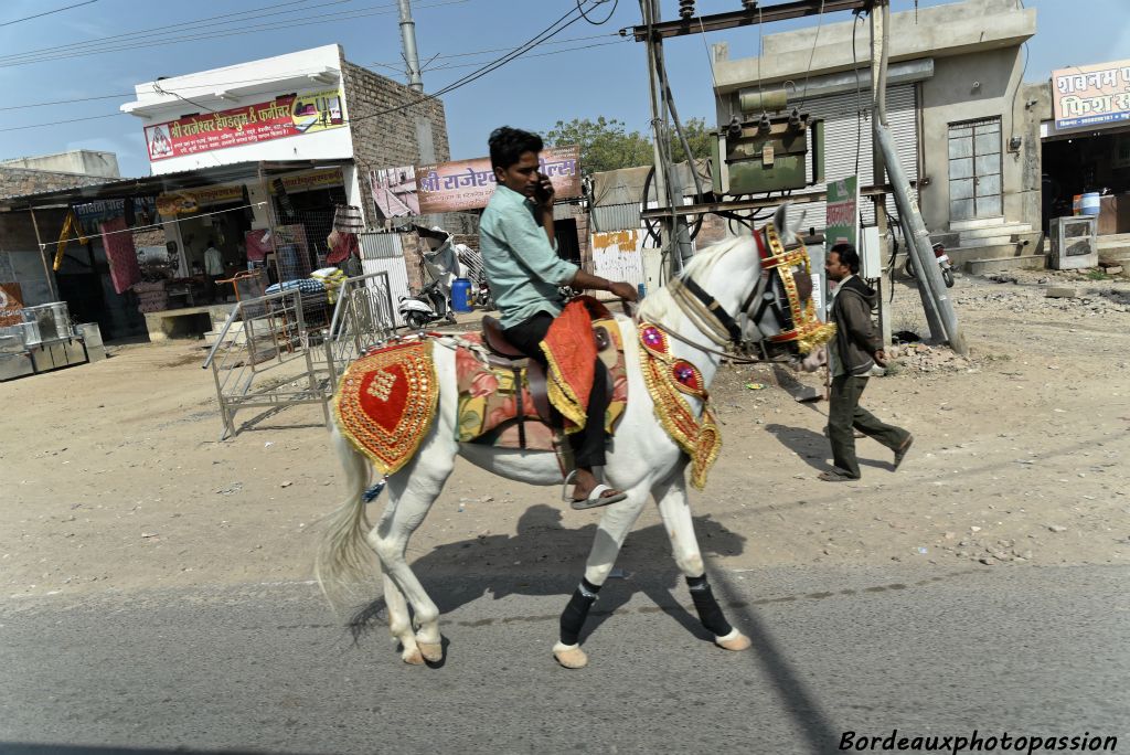 De la maison du marié au lieu des festivités, le marié peut utiliser un cheval que l'on va louer pour l'occasion.