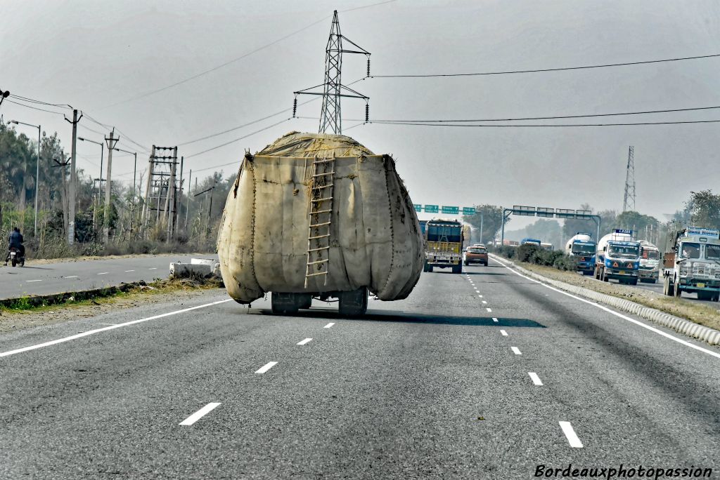 Transport de fourrage pour les animaux.