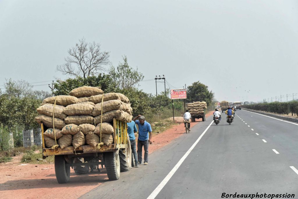 C'est la période de ramassage de la pomme de terre. Le transport se fait essentiellement par camions.