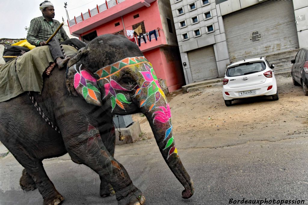 Dans l'hindouisme, Ganesh dieu à tête d'éléphant protègent ceux qui l'invoquent.