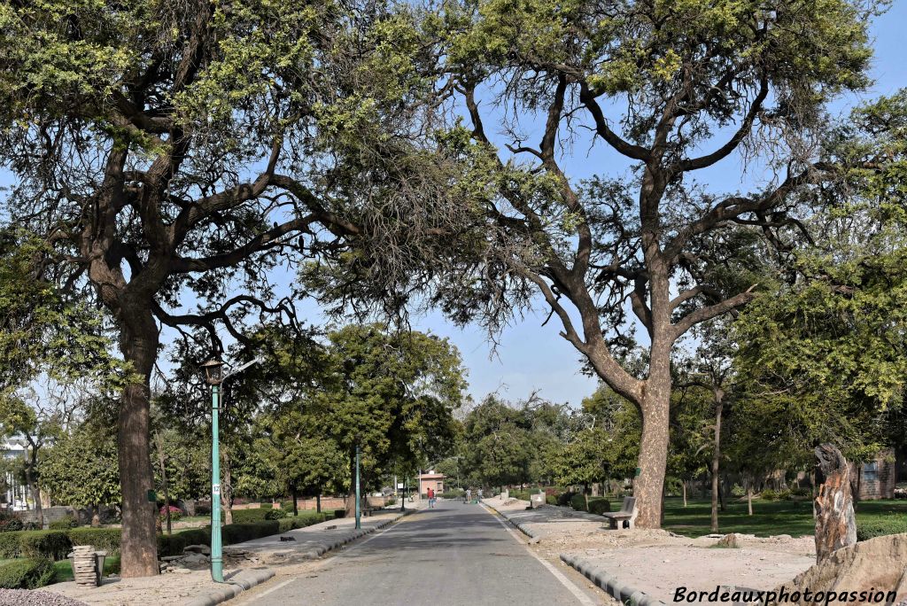 Des arbres centenaires nous offrent leur ombrage.