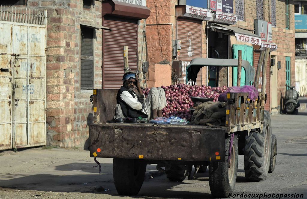Partant de Jodhpur, nous nous dirigeons vers Nimaaj. Un agriculteur vend sa récolte d'oignons rouges très prisés dans la cuisine du Rajasthan.