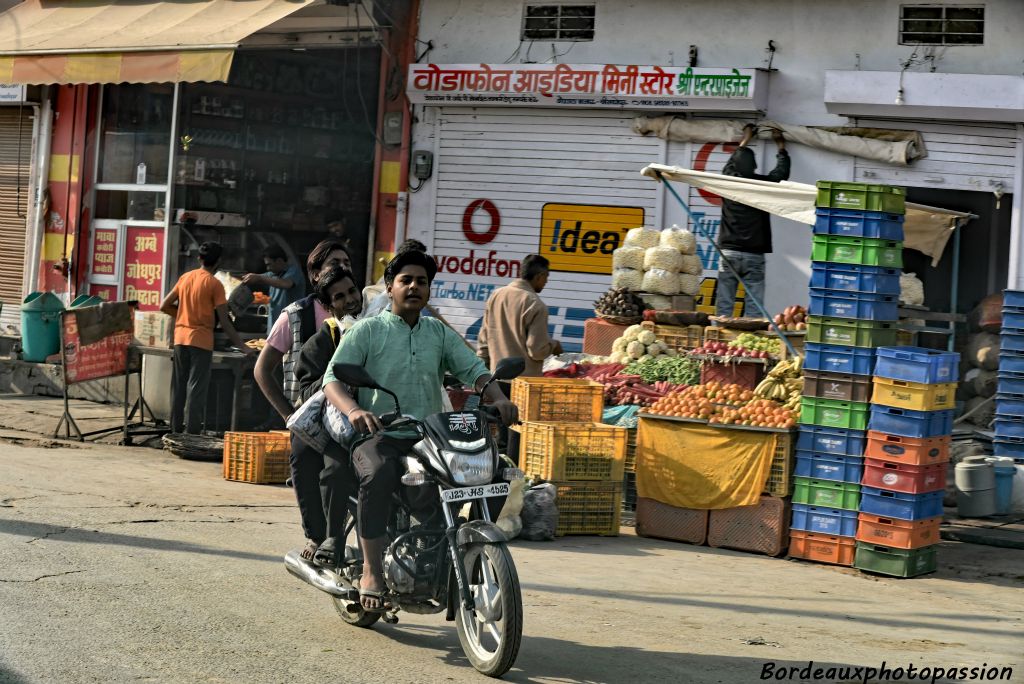 Dans le plus grand état de l'Union indienne, le Rajasthan compte 75 millions d'habitants.