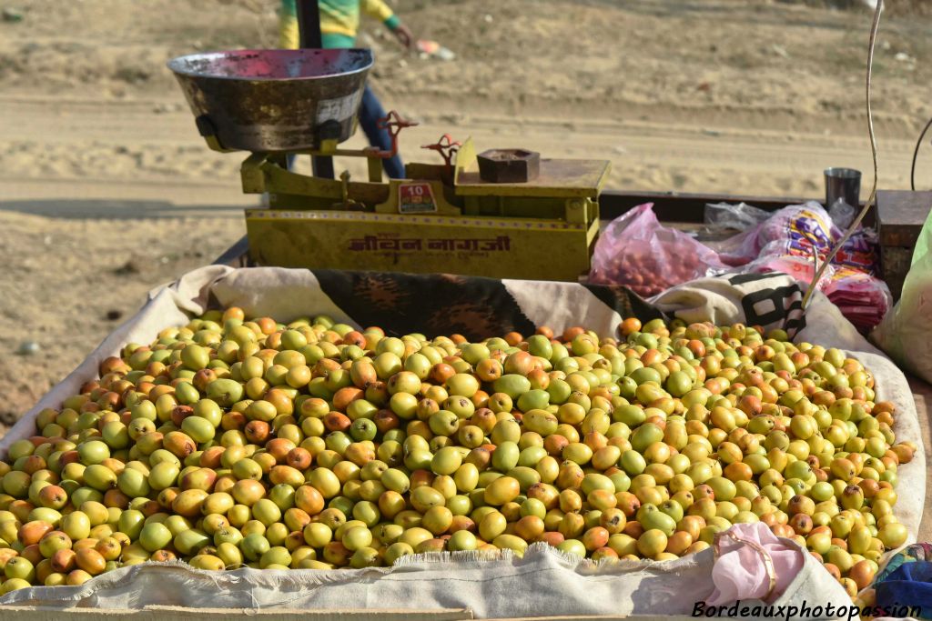 Fruit d'hiver.