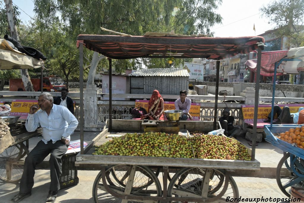 Arrivée à Kandhela, vieille ville de 2000 ans, nichée parmi les collines de l'Aravali.