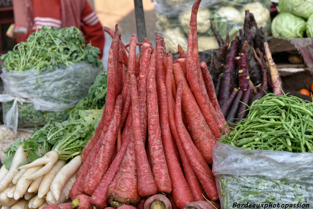 Des carottes de couleur rose