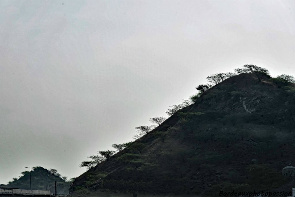 Paysage plus montagneux de l'Aravalli.