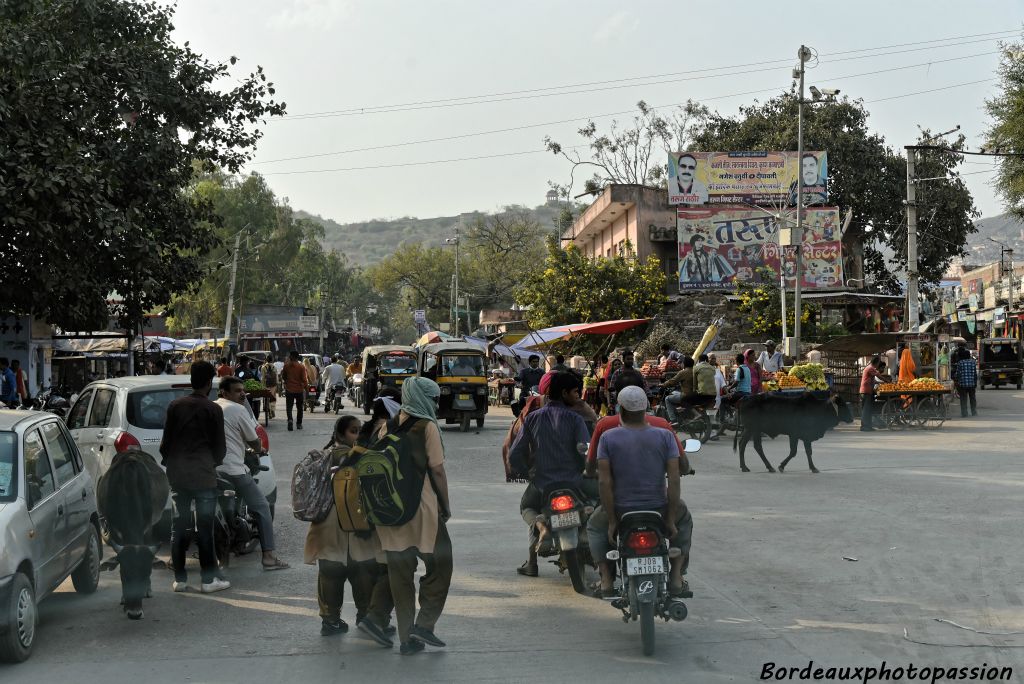 Circulation dense entre piétons, vache, rickshaws et deux-roues. Peu de voitures.